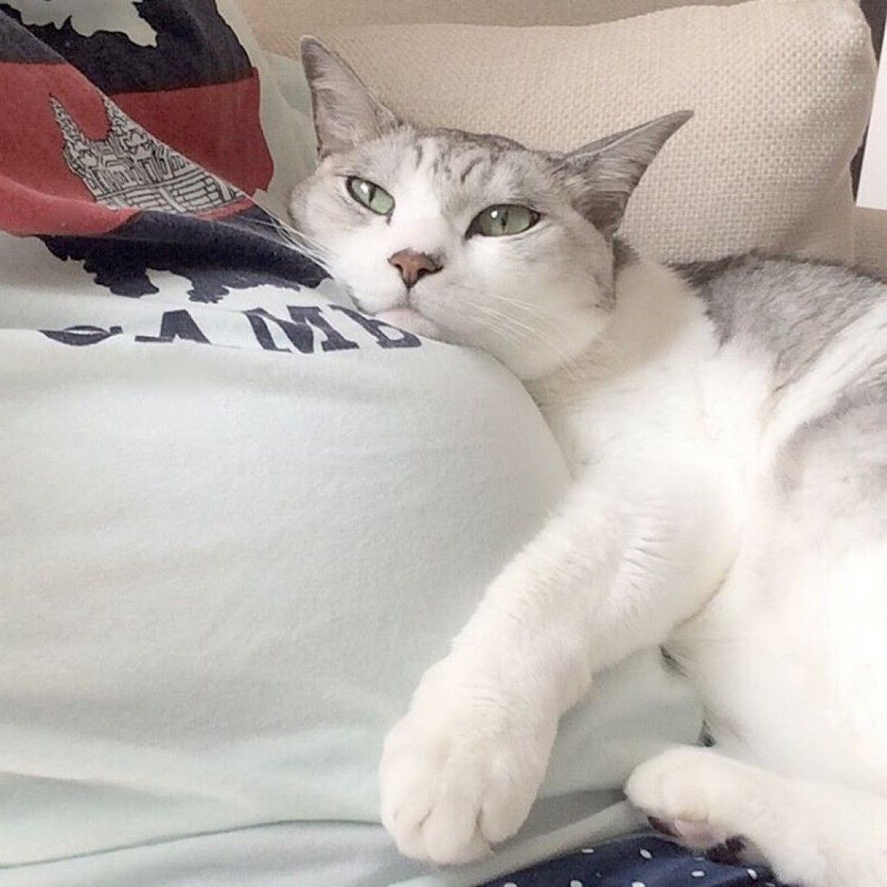 15 year old cat guards baby sister