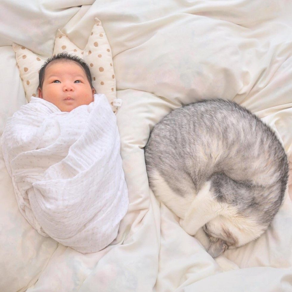 15 year old cat guards baby sister