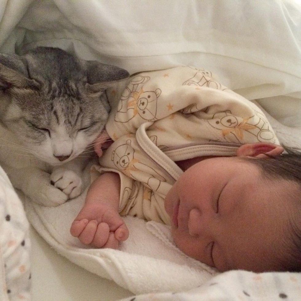 15 year old cat guards baby sister