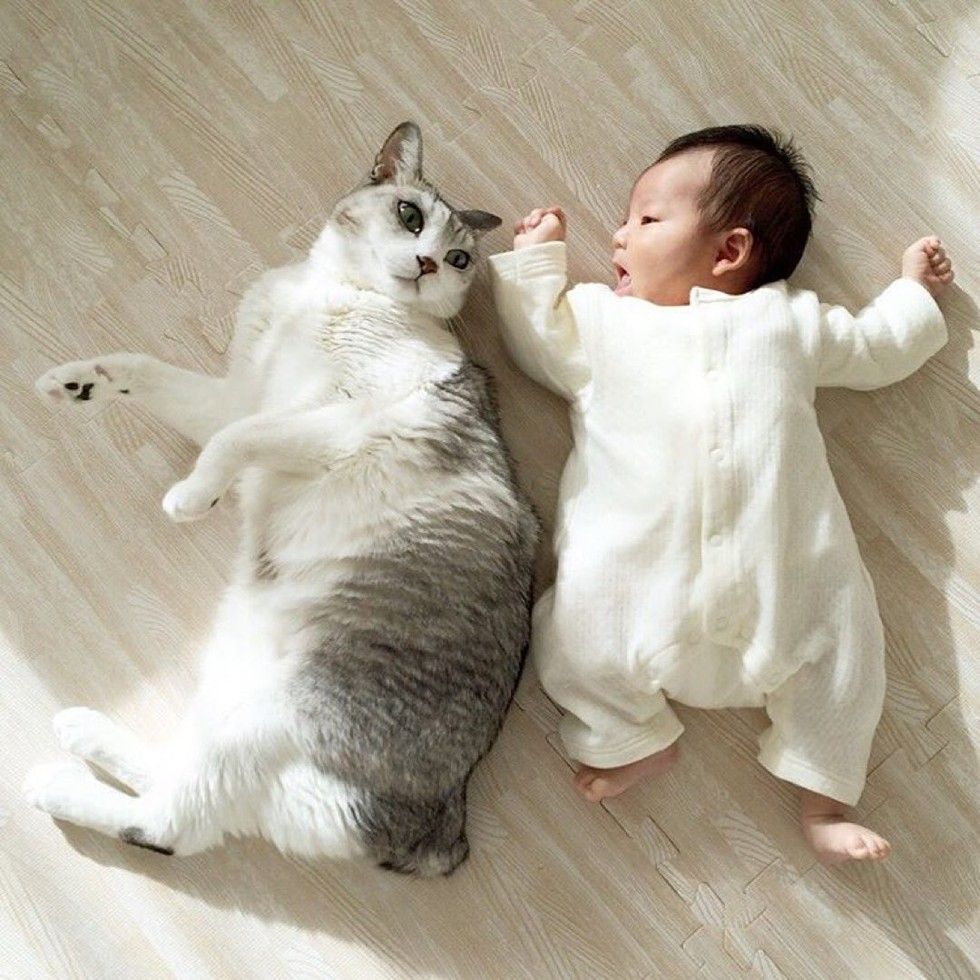 15 year old cat guards baby sister