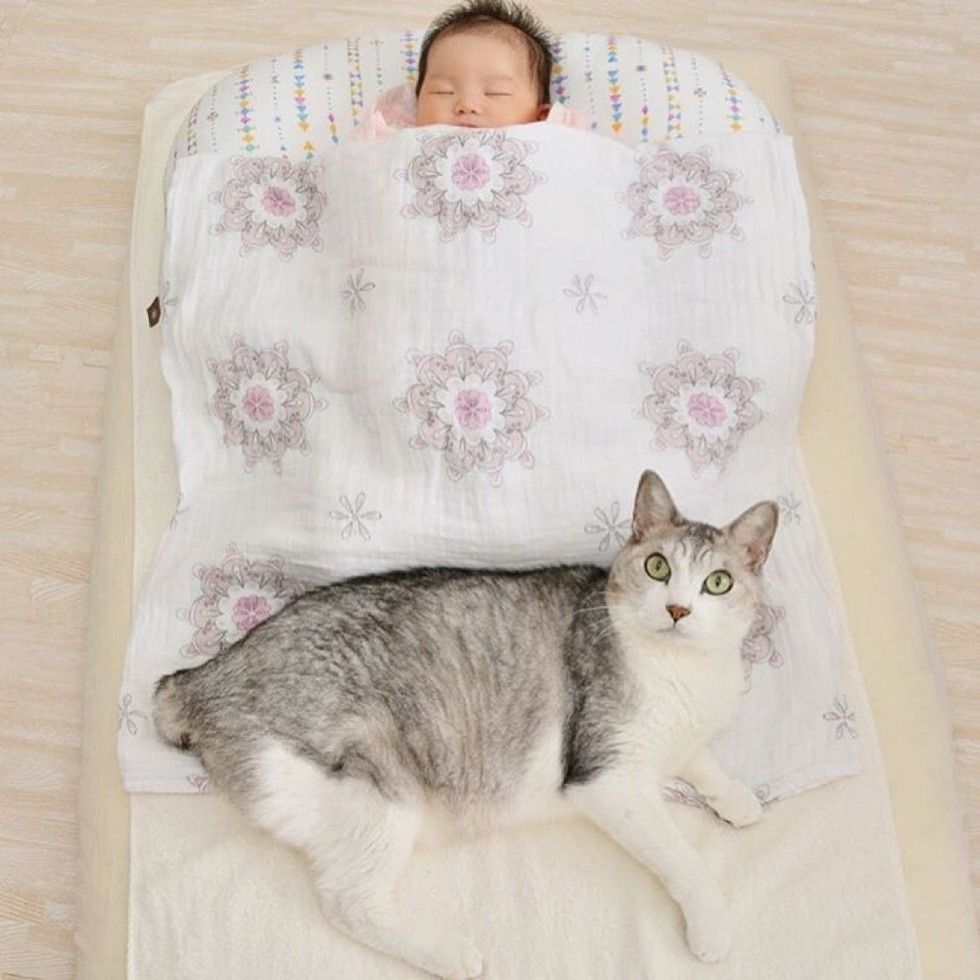 15 year old cat guards baby sister