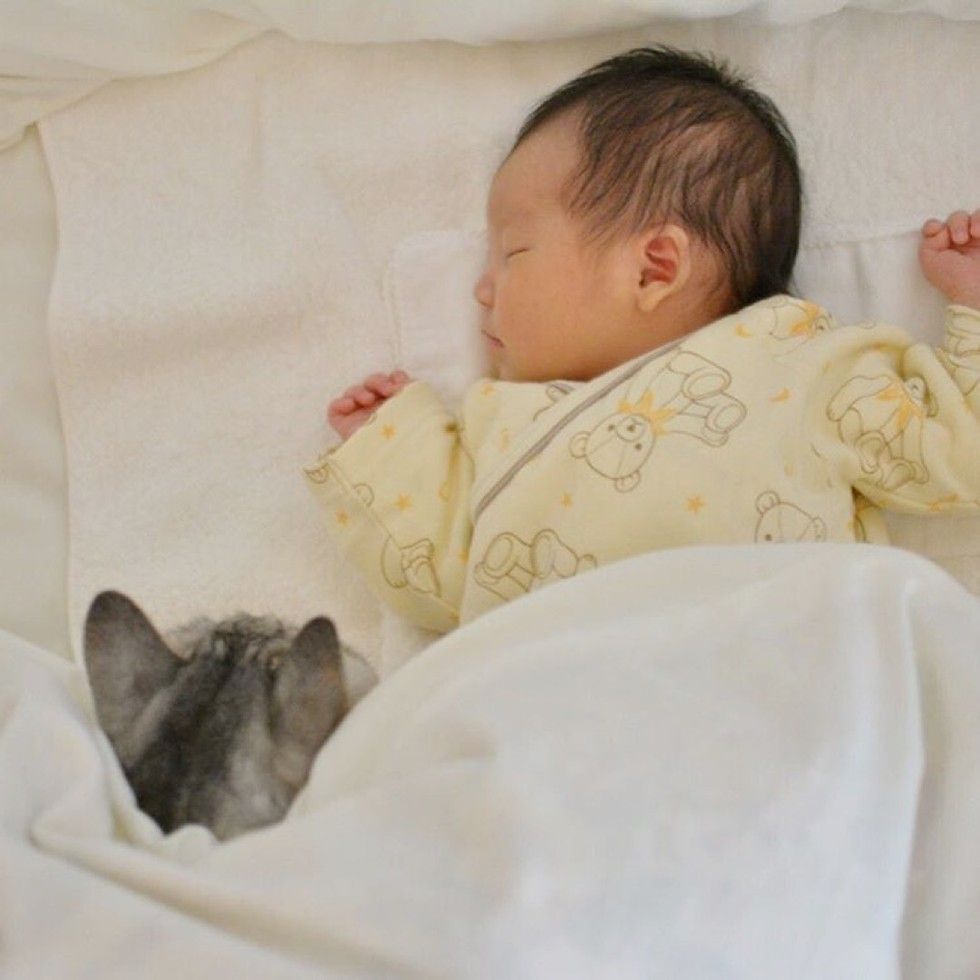 15 year old cat guards baby sister