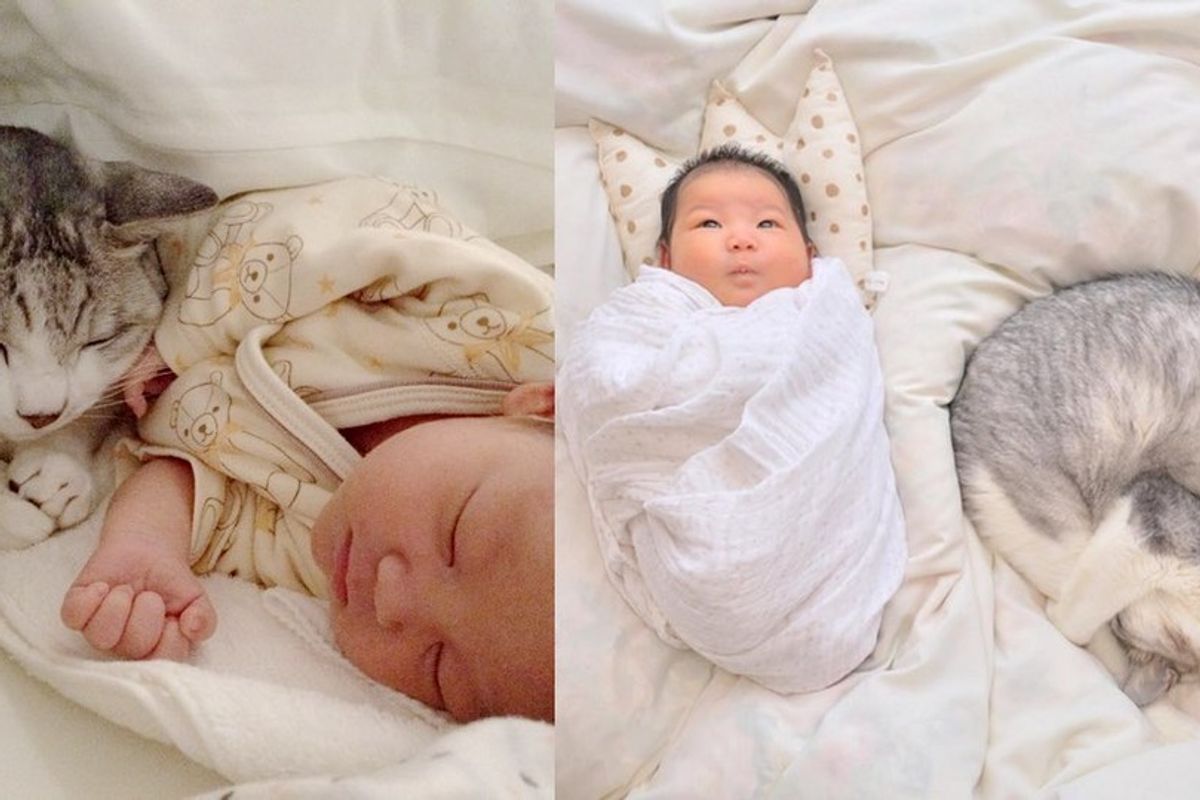 15 year old cat guards baby sister