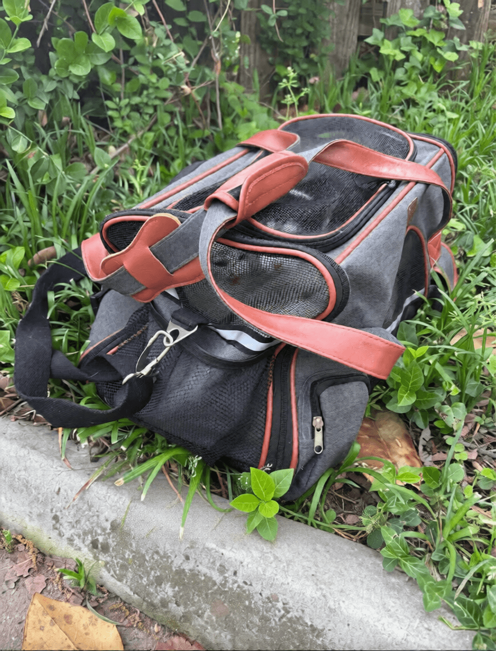 A gray and red mesh pet carrier sits abandoned in grass at the edge of a curb.