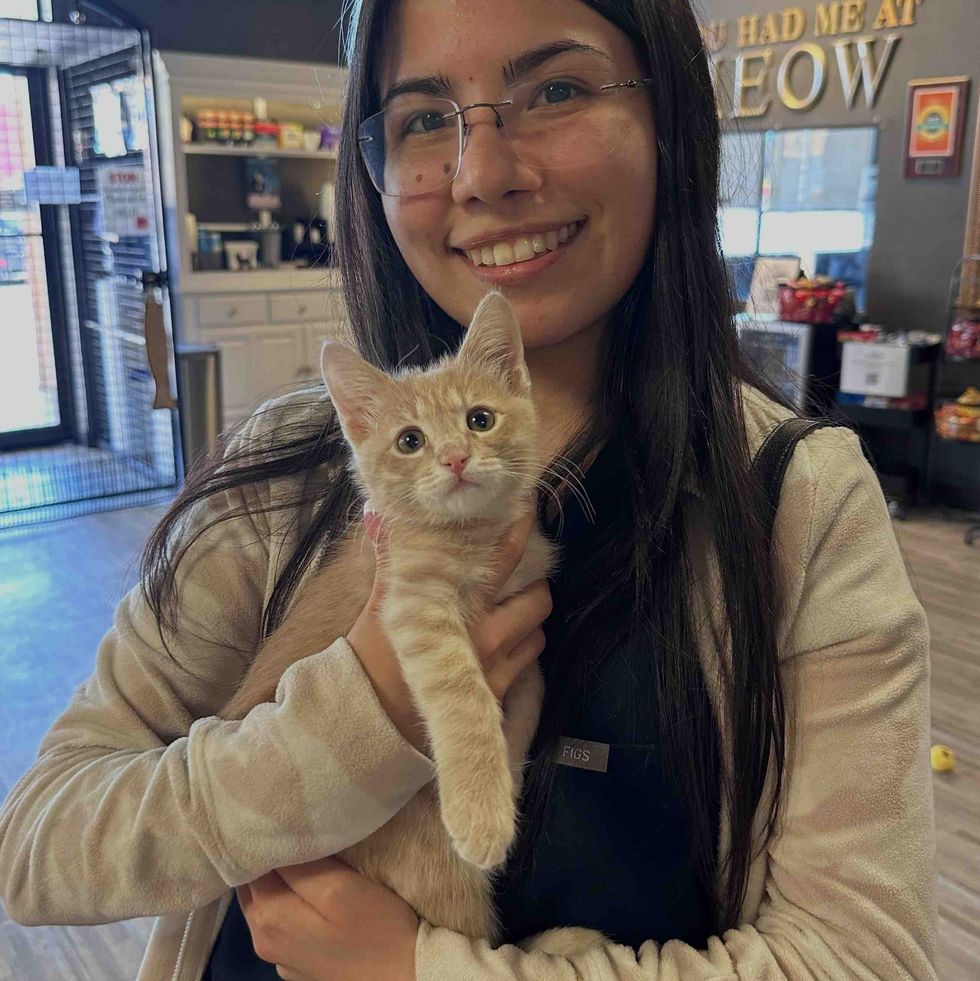 adopted orange kitten with owner