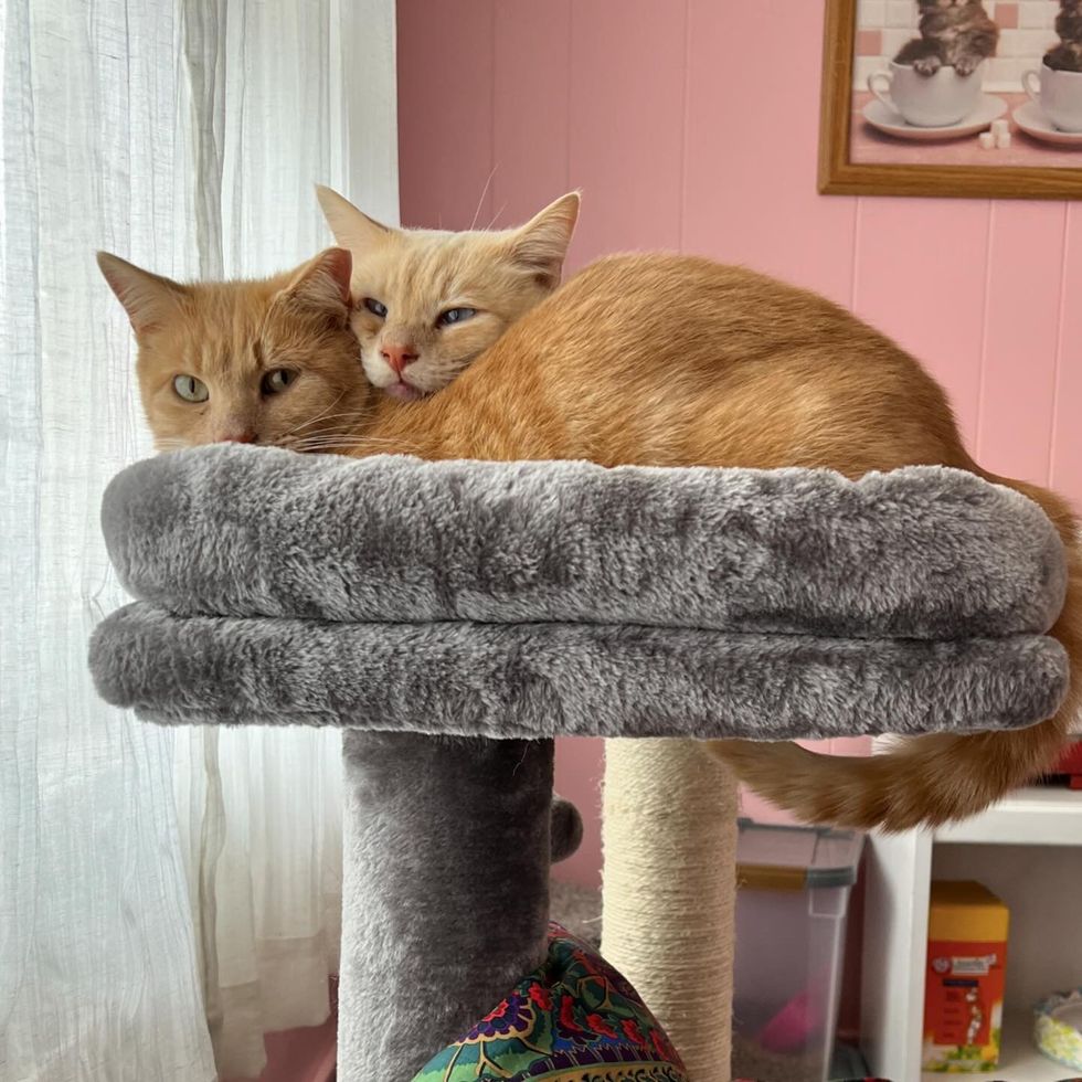 best friends snuggly