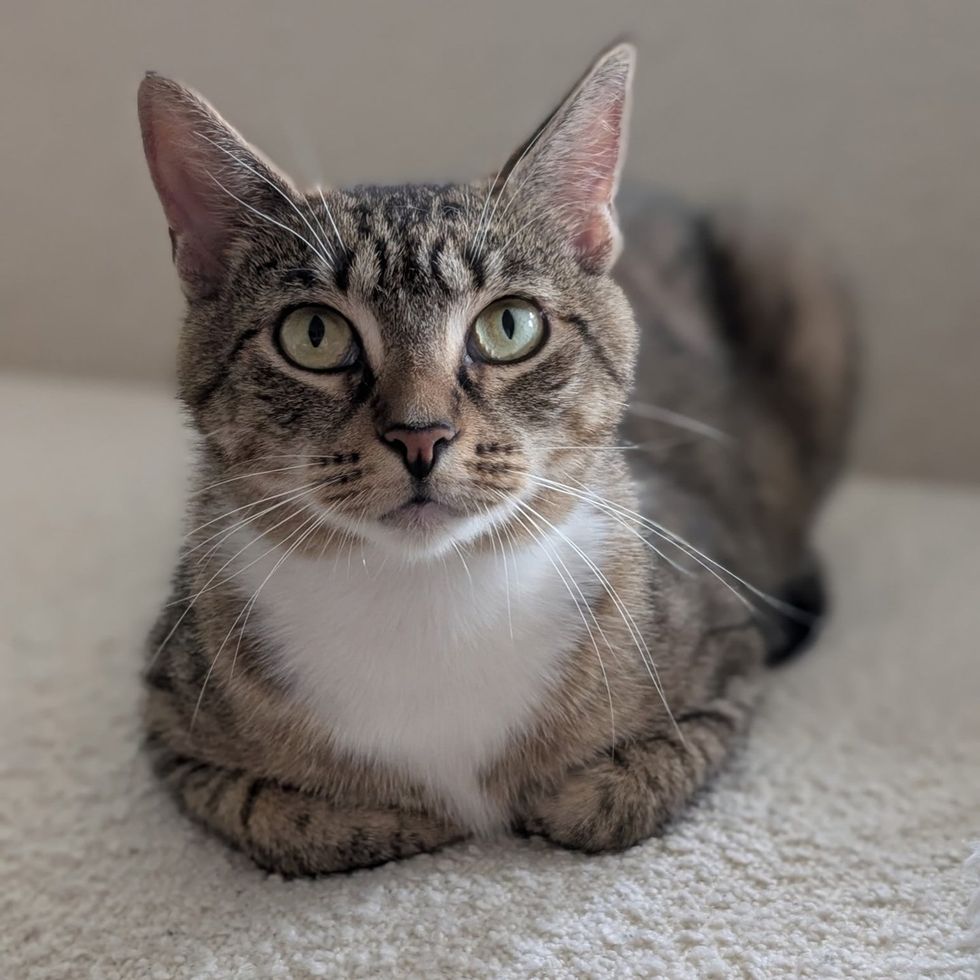 Binoculars portrait, wide green eyes