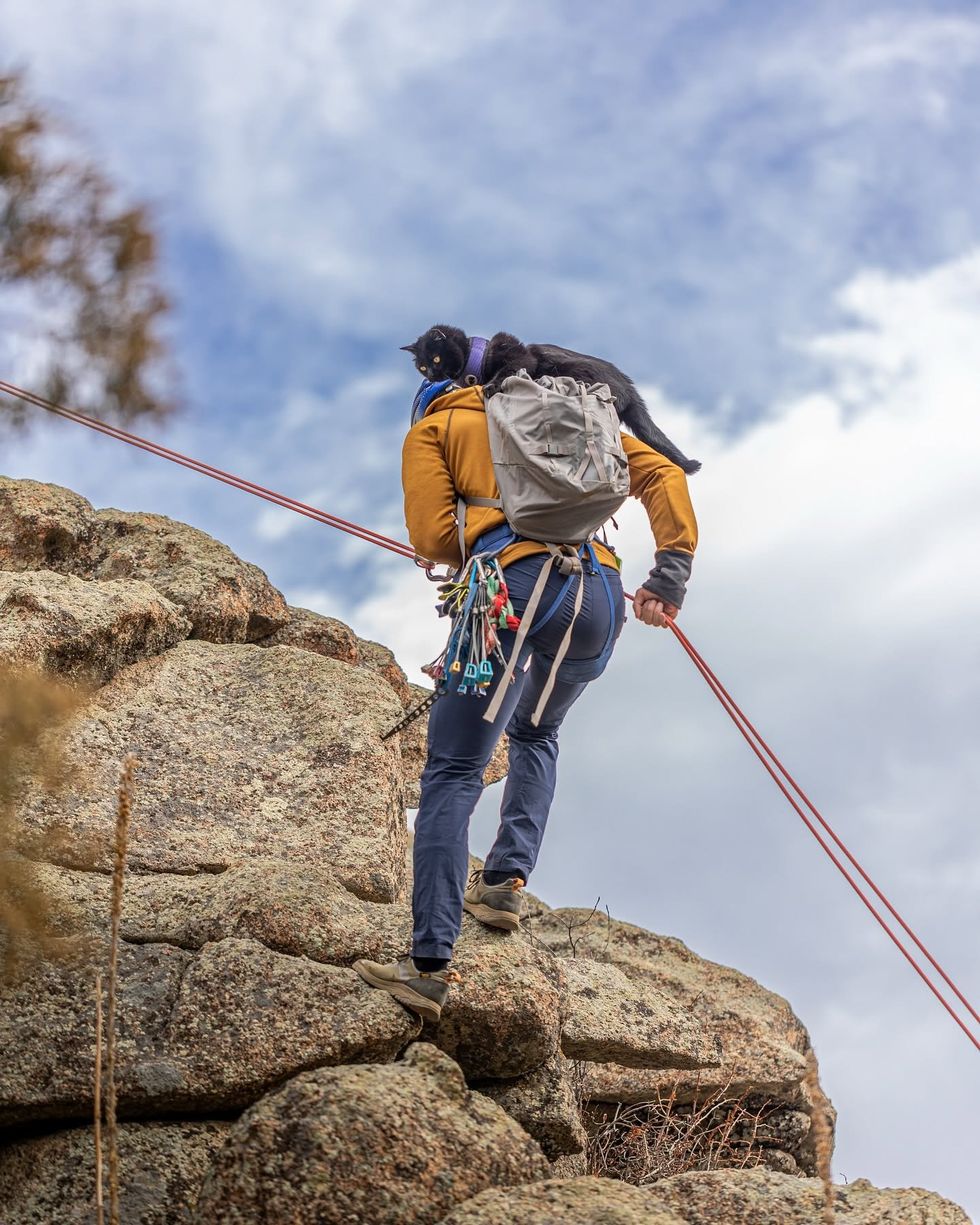 Black cat standing calmly on top of his owners backpack while the owner is climbing a mountain with ropes.