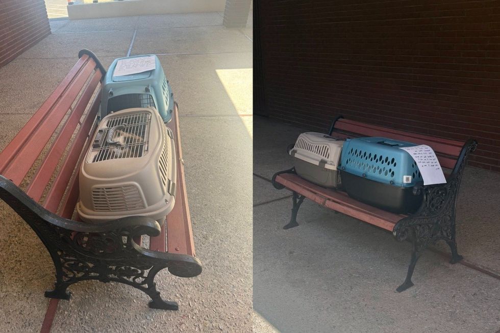 both carriers with note on bench outside shelter from different angles