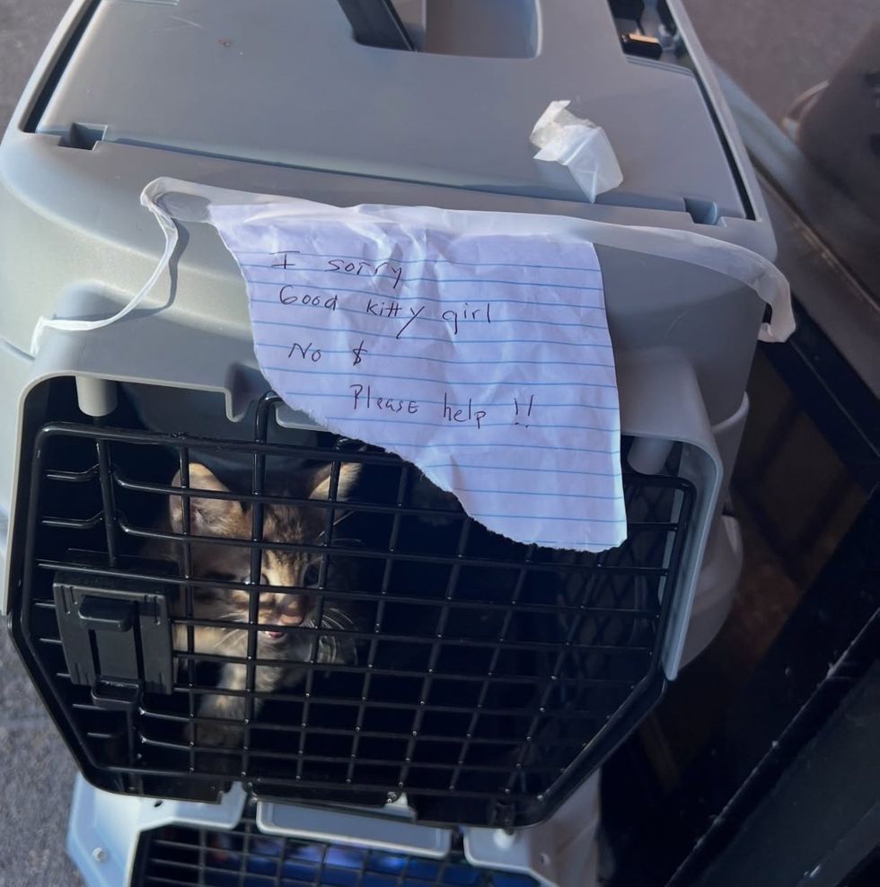 cat carriers note