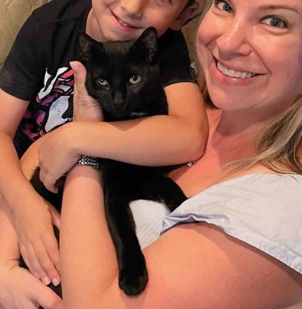 cat cuddles forever humans