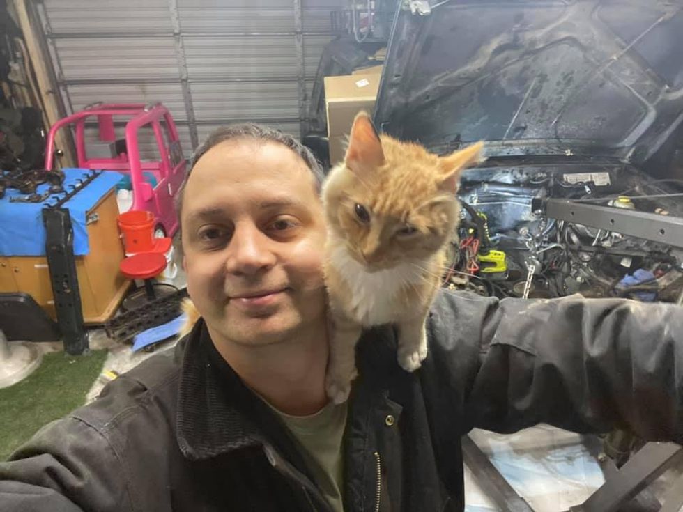cat, ginger, shoulder cat, jeep, man