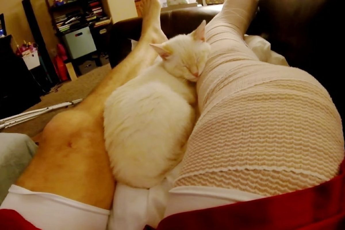 cat helps human dad heal from broken leg