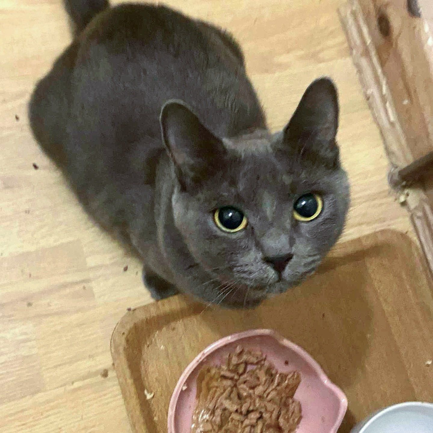 健康を取り戻すラベンダー