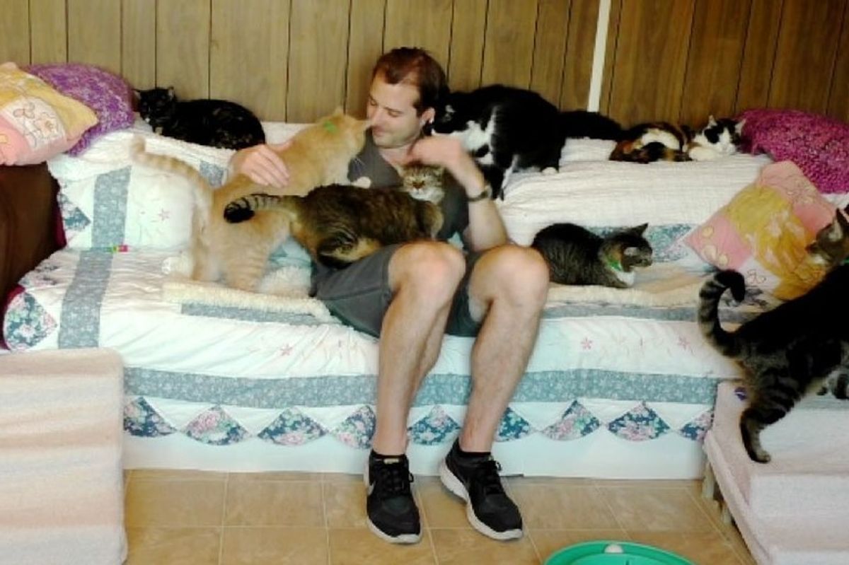 cat loving man gets kitty therapy from rescue cats the cat house on the kings
