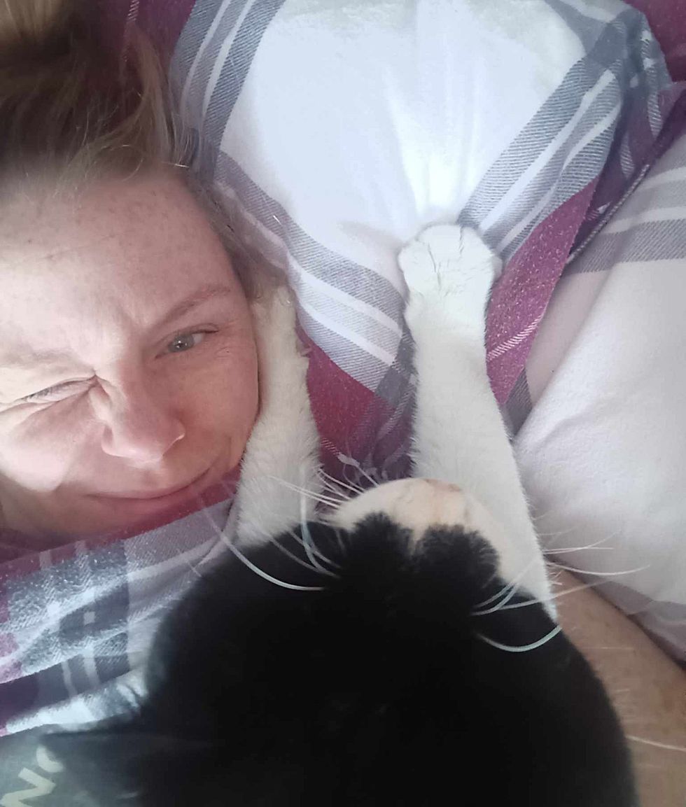 cat morning waking up