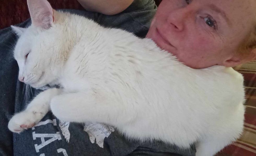 cat neck warmer sleeping