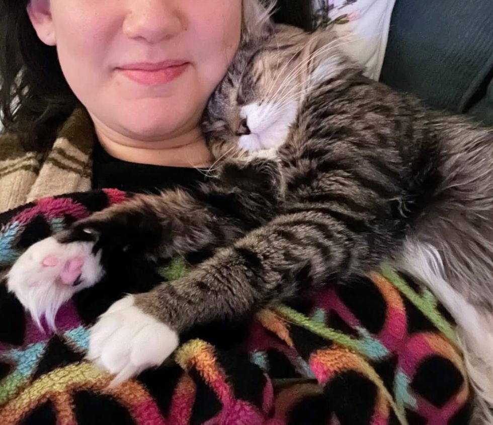 cat sleeping snuggles