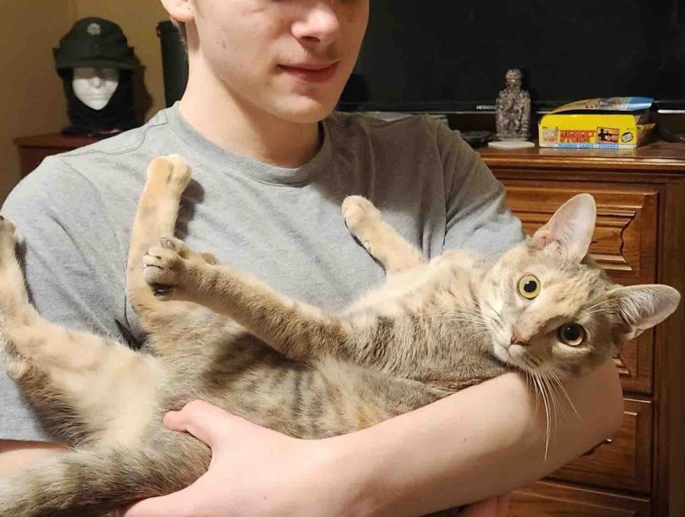 cat snuggles best friends