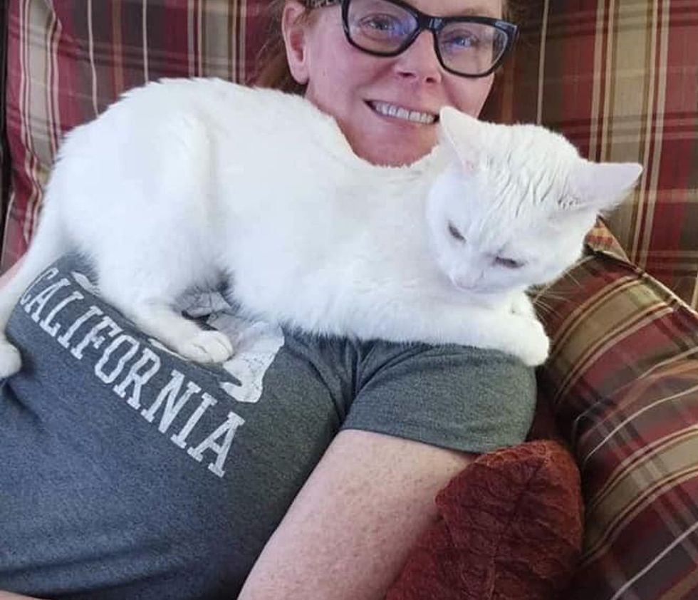 cat snuggly shoulder warmer