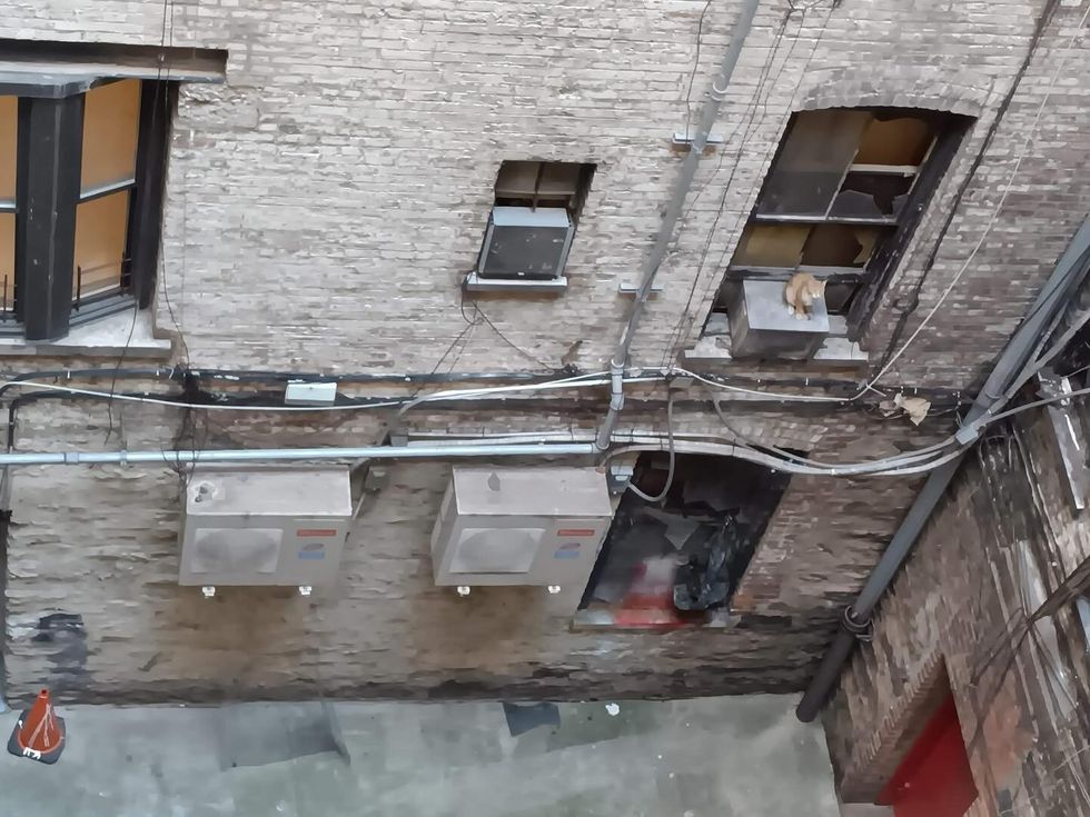 cat stuck air conditioner