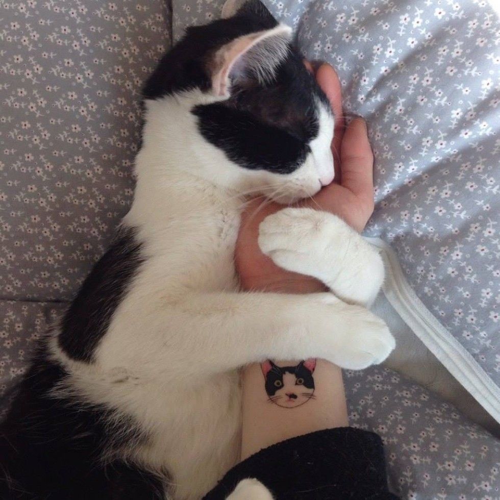 cat tattoo hug