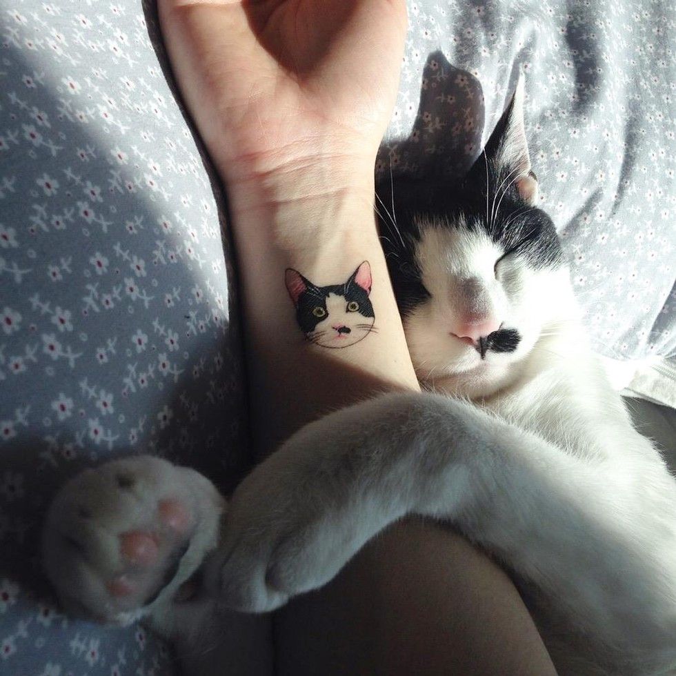 cat tattoo
