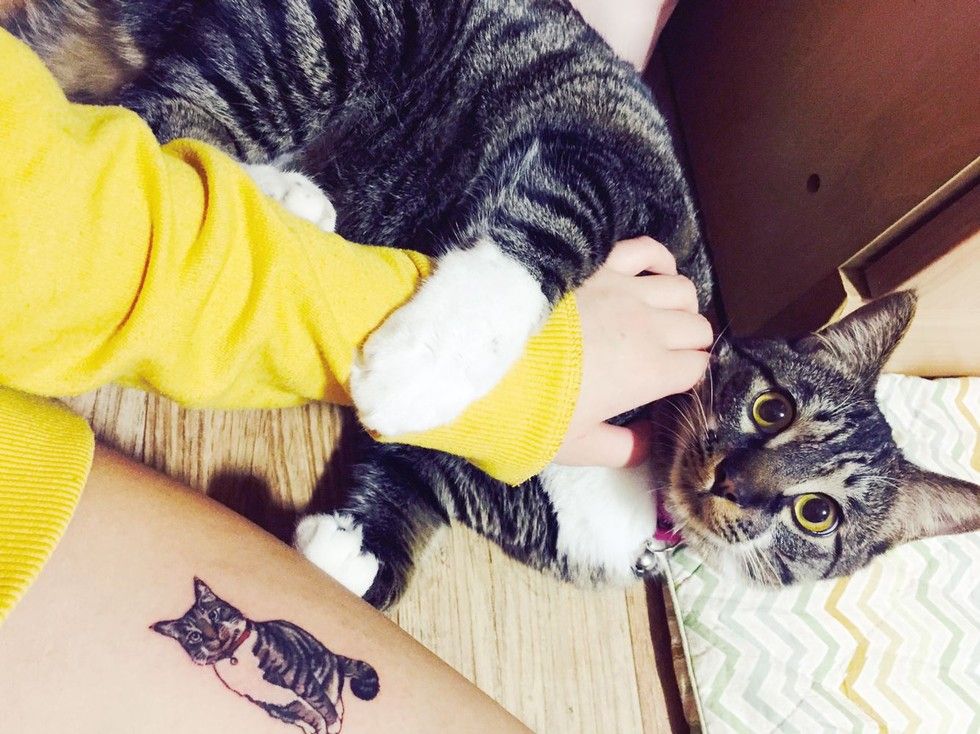 cat tattoo