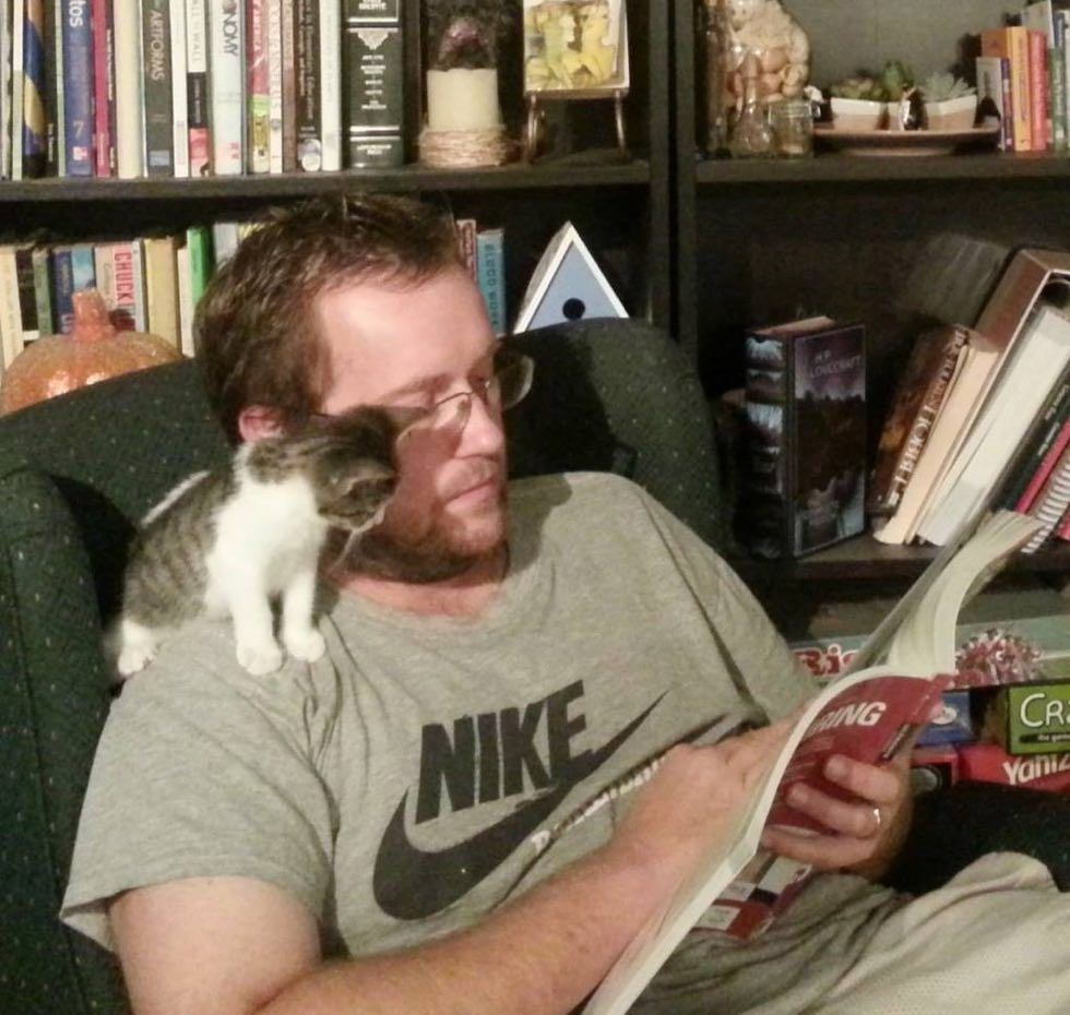 cats kittens purrfect perfect bookmarks