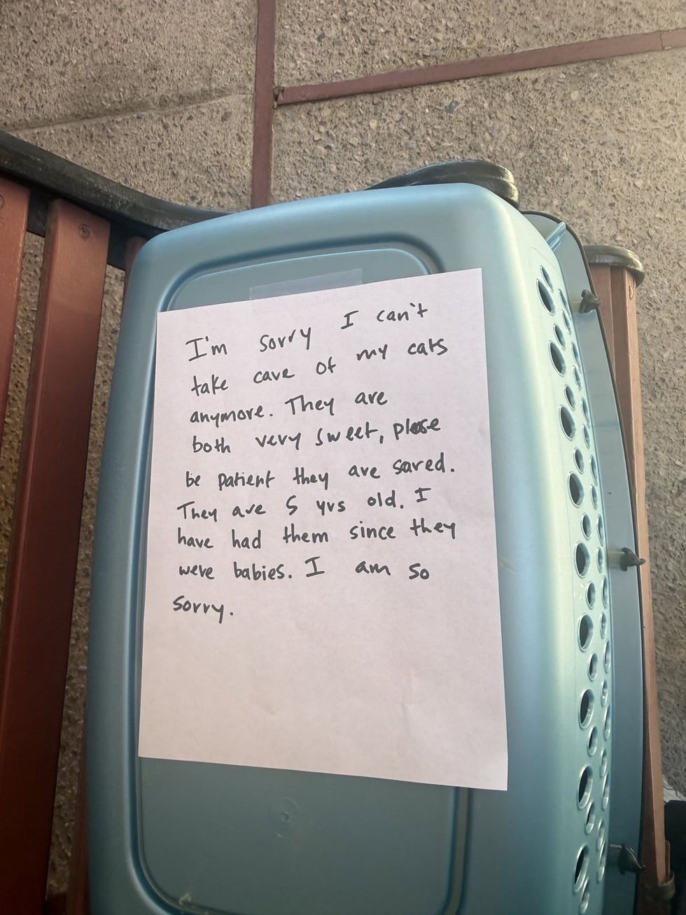 close up of handwritten note explaining about the cats