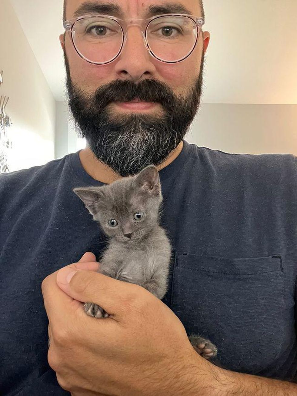 cuddly kitten, cat man