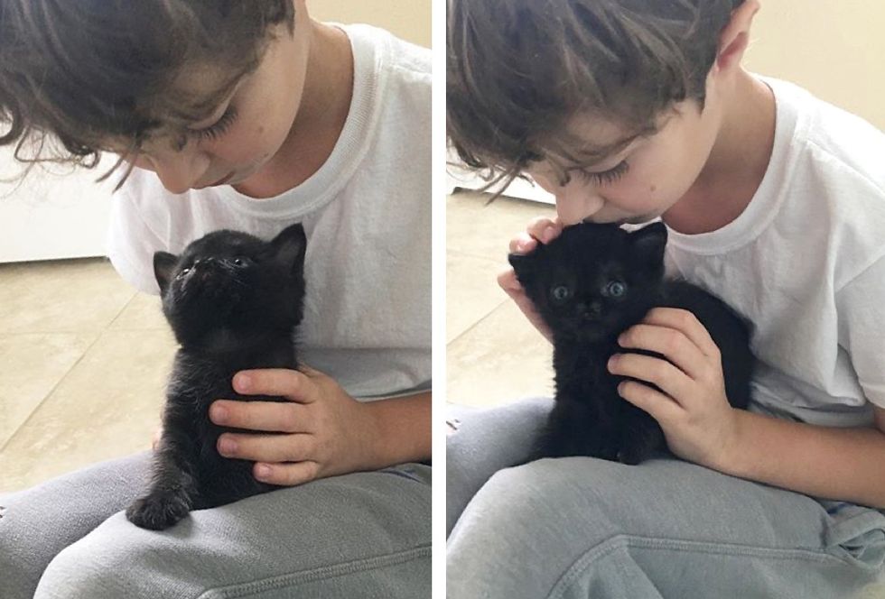 cute nose, special kitten, hug, Aela