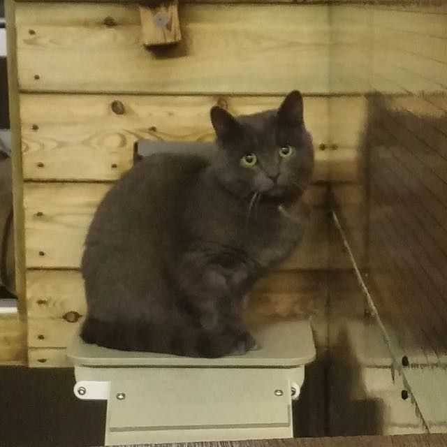 2 - First time I visited him When he came out to see me despite being terrified I knew he had chosen me