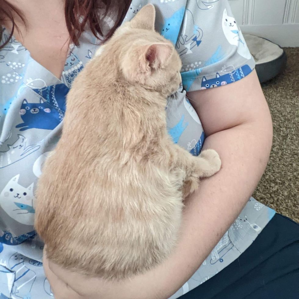 Fish the cat snuggly
