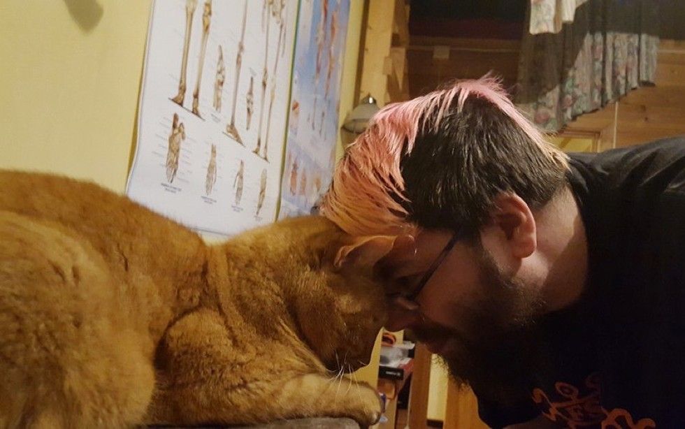 ginger cat chose his human half a mile away