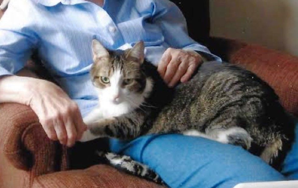 grandma and beloved cat gabby died within hours of each other
