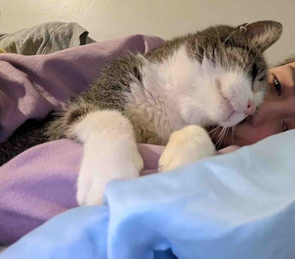 happy cat cuddles human