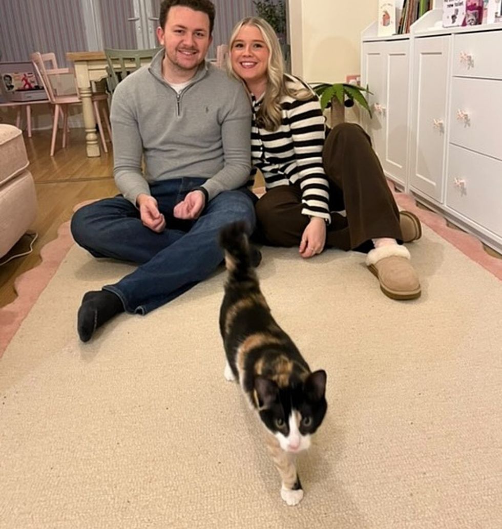 happy ending cat adopted