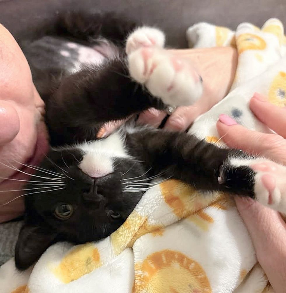 happy tuxedo paws
