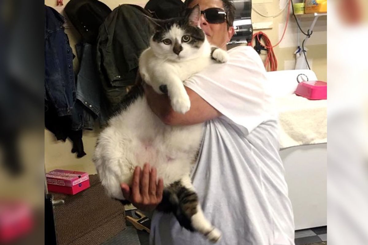 They Save Sad Cat from Small Kennel and Help Him Get Happiness Back…