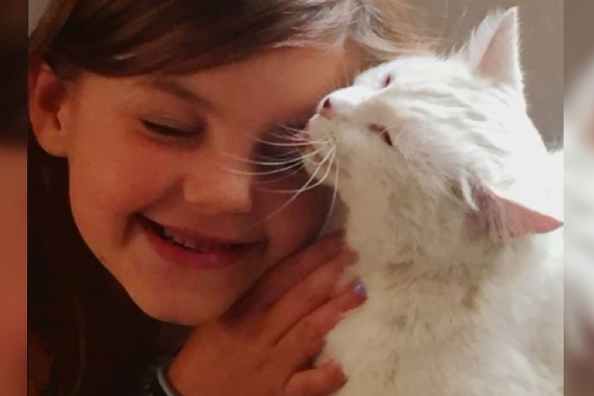 Cat Went Missing After Wildfire Hears Her Best Friend's Call and Comes Running..