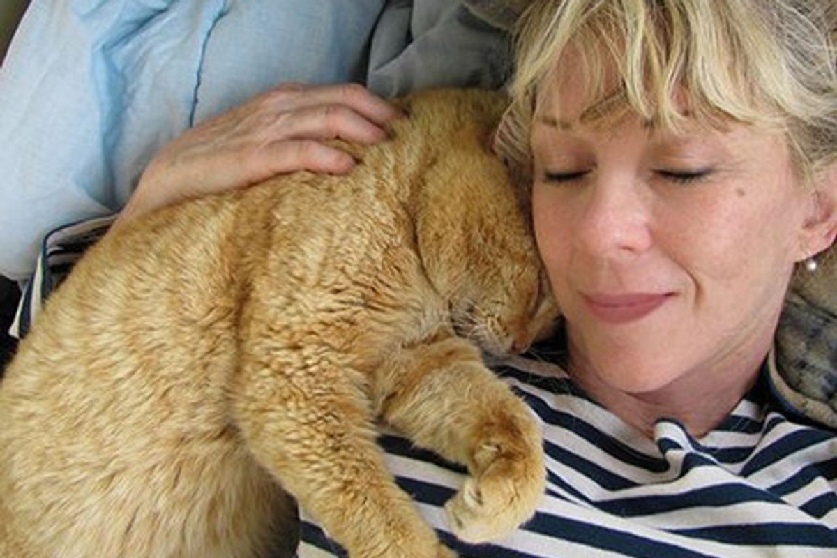 From Fear to Trust – Story of Meatie, the Feral Cat