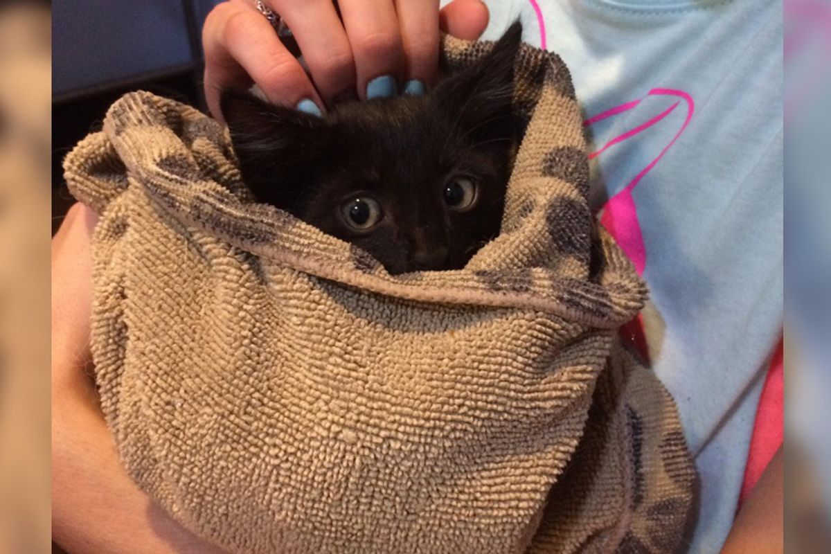 Man Hears Faint Cries From Garage and Finds an Unexpected Visitor...