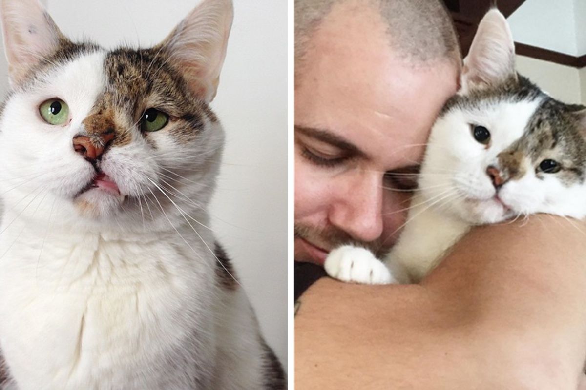 Man Chosen by His Roommate’s Special Cat Realizes They Couldn’t Do Without Each Other…