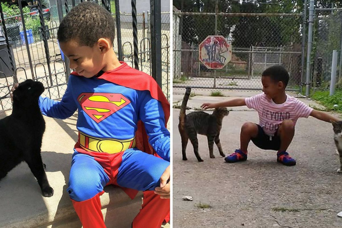 5 Year Old Boy Helps Save Street Cats and Becomes Their Superhero...