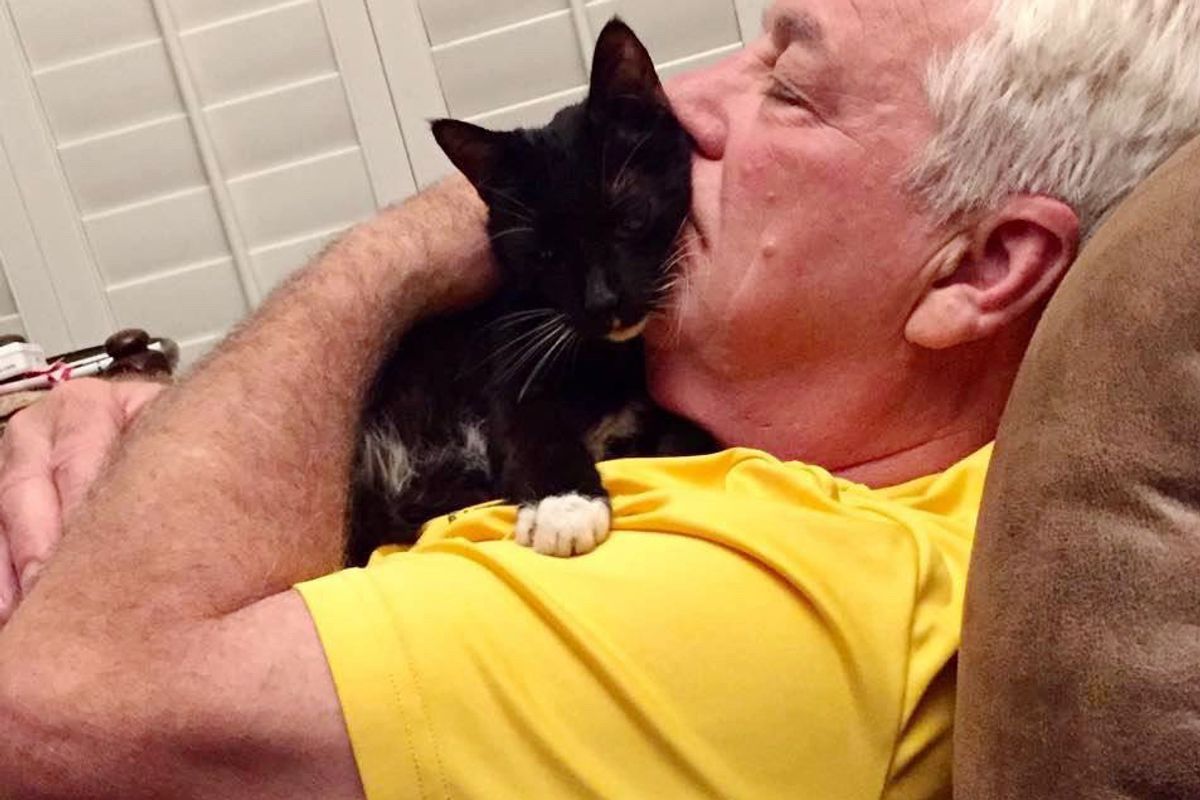 15-year-old Shelter Cat Tells His New Family How Happy He is To Be Back in a Home...