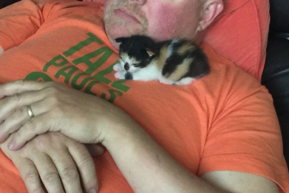 "No, I don't want to hold a kitten," He Said, Now 3 Months Later..