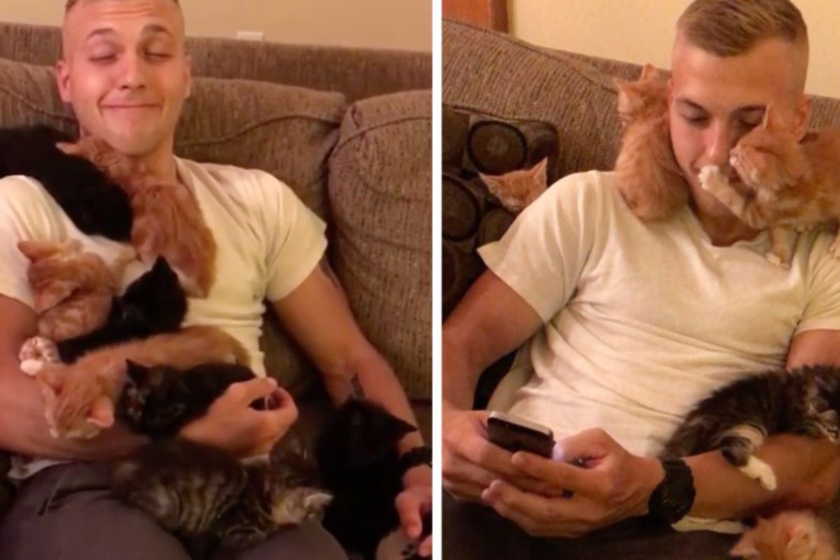 Man Visits 10 Kittens In Need of Love, They Make Him Their Cat Dad On the Spot!