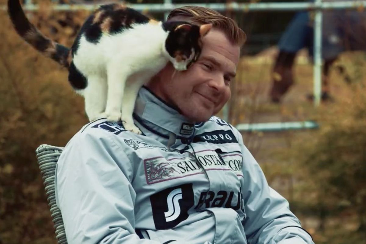 Friendly Stable Cat Interrupts Her Human's TV Interview and Steals the Show