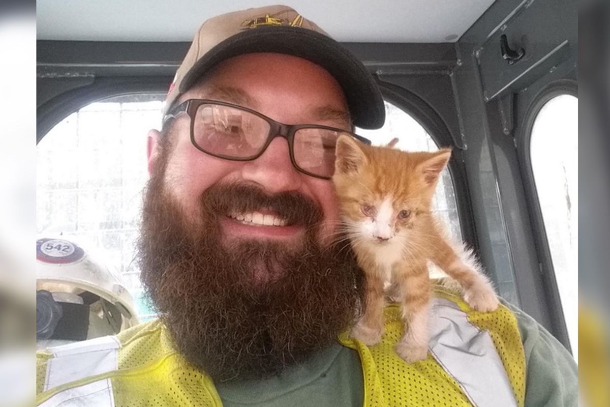 Stray Kitten Found on Pipeline, Snuggles With His Rescuer And Asks Him To Be His Human